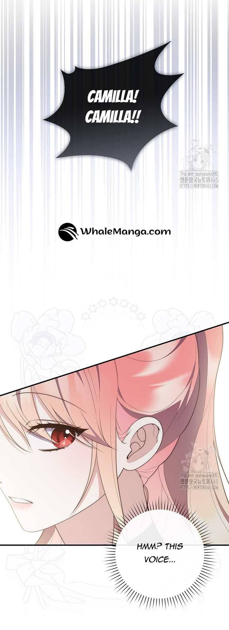 Page https://readmanhwaverse.com/images/a-fortune-telling-princess/chapter-75/ch_75_65.jpg