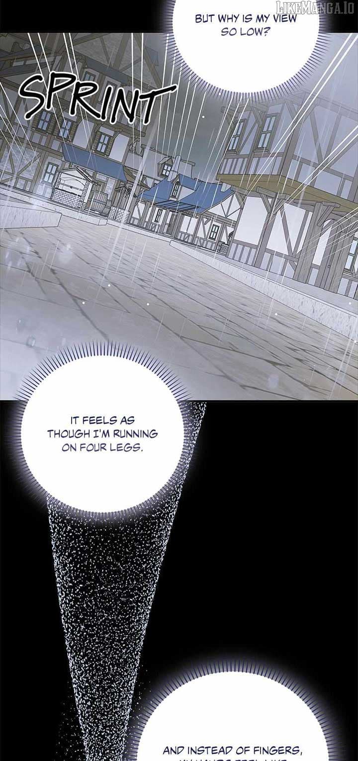 Page https://readmanhwaverse.com/images/a-way-to-protect-the-lovable-you/chapter-159/ch_159_71.jpg