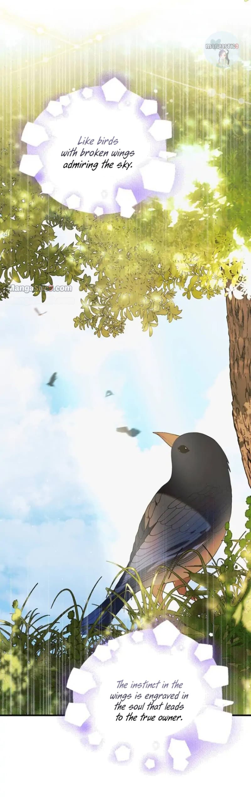 Page https://readmanhwaverse.com/images/a-way-to-protect-the-lovable-you/chapter-97/57.webp