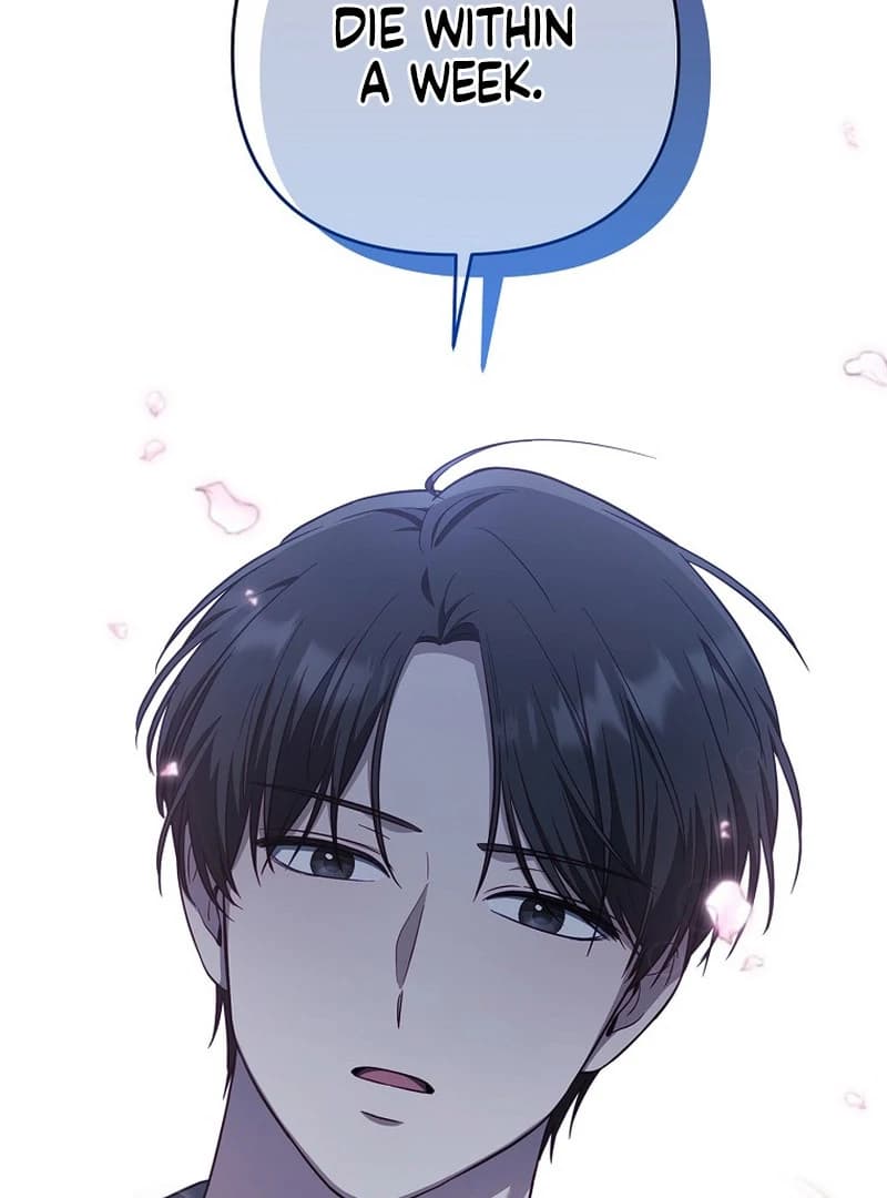 Page https://readmanhwaverse.com/images/a-week-before-i-die/chapter-12/ch_12_80.webp