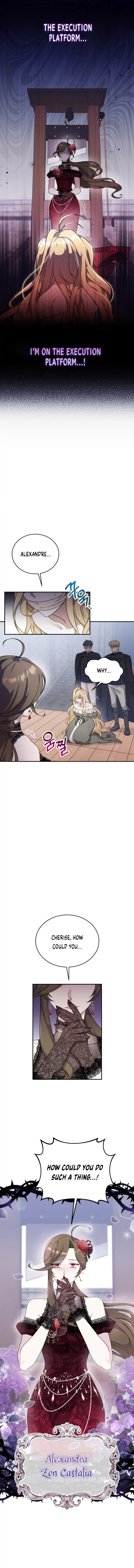Page https://readmanhwaverse.com/images/baby-pharmacist-princess/chapter-1/1.webp