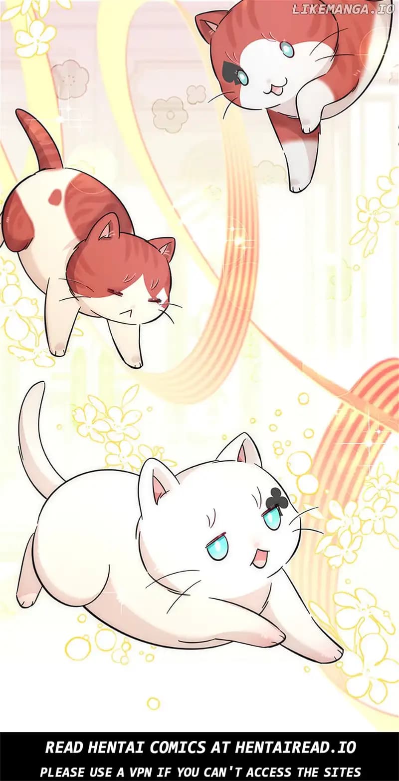 Page https://readmanhwaverse.com/images/baby-pharmacist-princess/chapter-47/71.webp