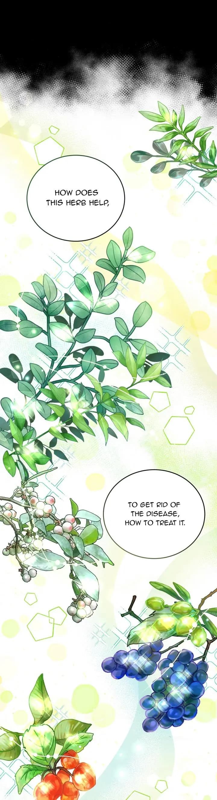 Page https://readmanhwaverse.com/images/baby-pharmacist-princess/chapter-6/8.webp
