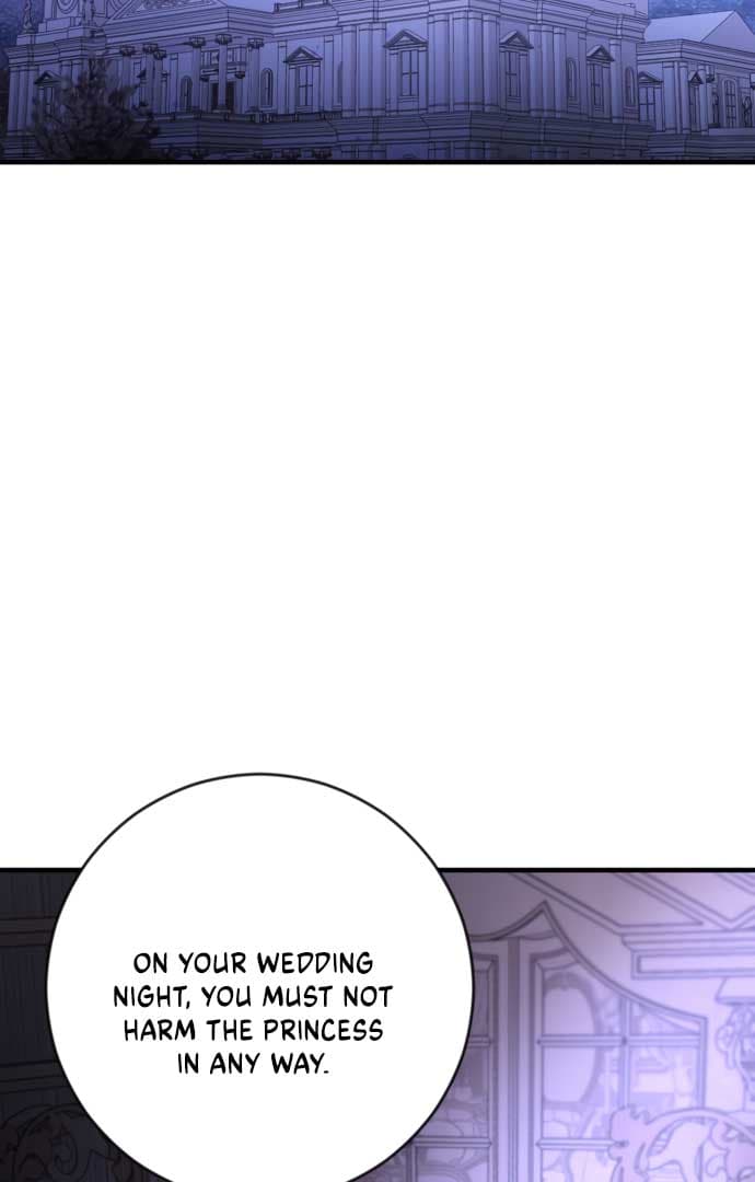 Page https://readmanhwaverse.com/images/beneath-the-surviving-princess-joyful-facade/chapter-1/163.jpg