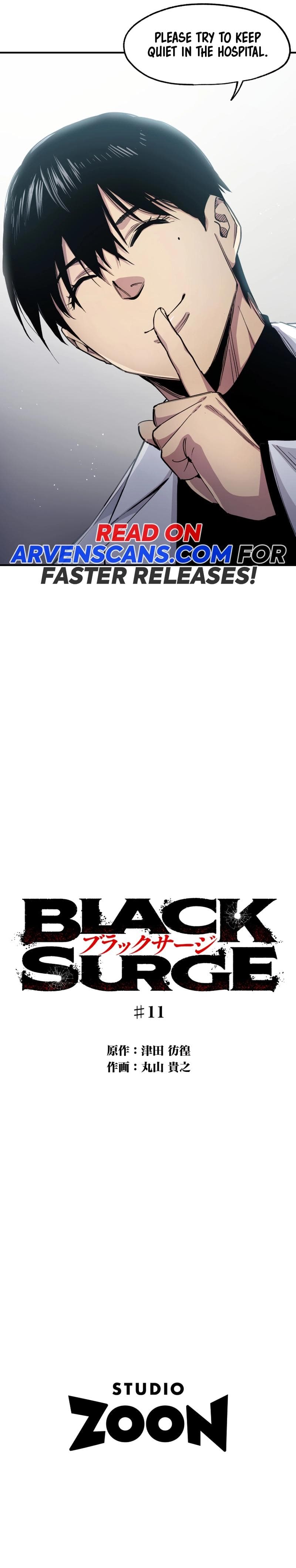 Page https://readmanhwaverse.com/images/black-surge/chapter-11/ch_11_11.jpg