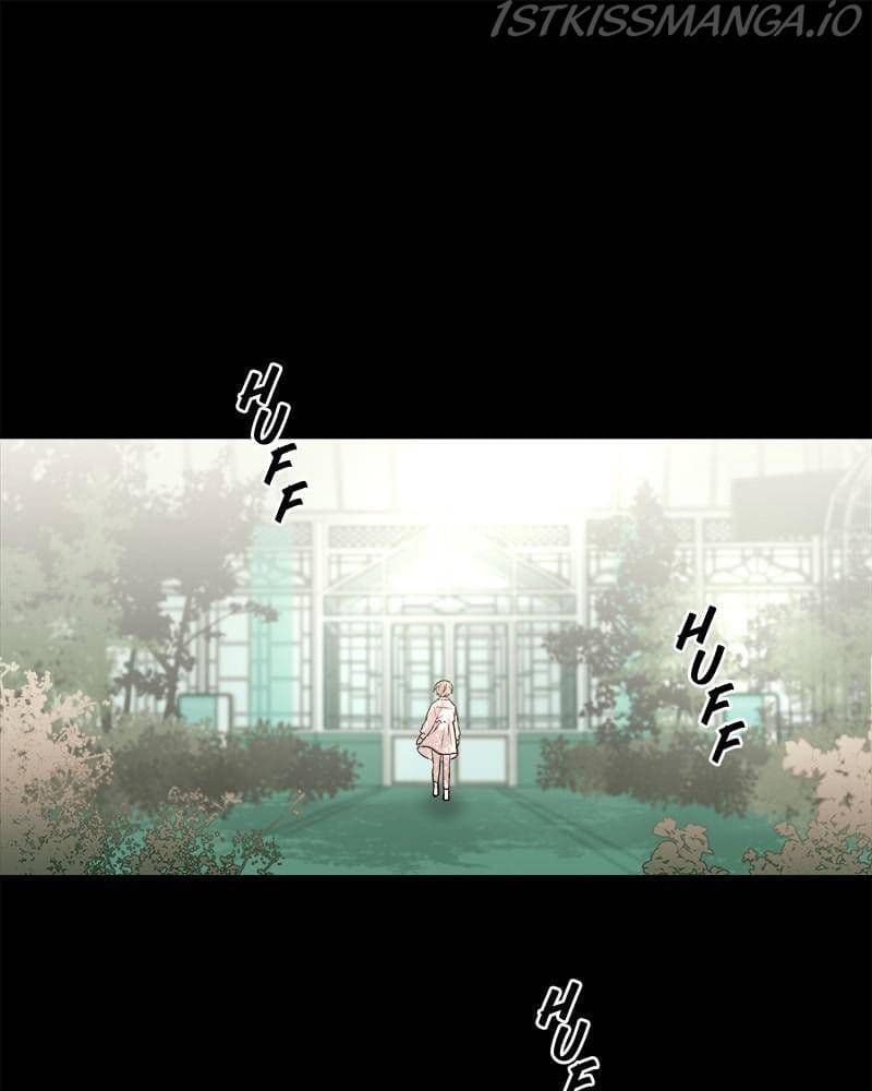 Page https://readmanhwaverse.com/images/blood-and-butterflies/chapter-16/001.jpg