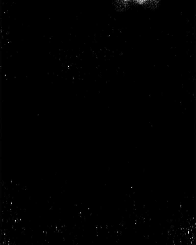 Page https://readmanhwaverse.com/images/blood-and-butterflies/chapter-27/014.jpg