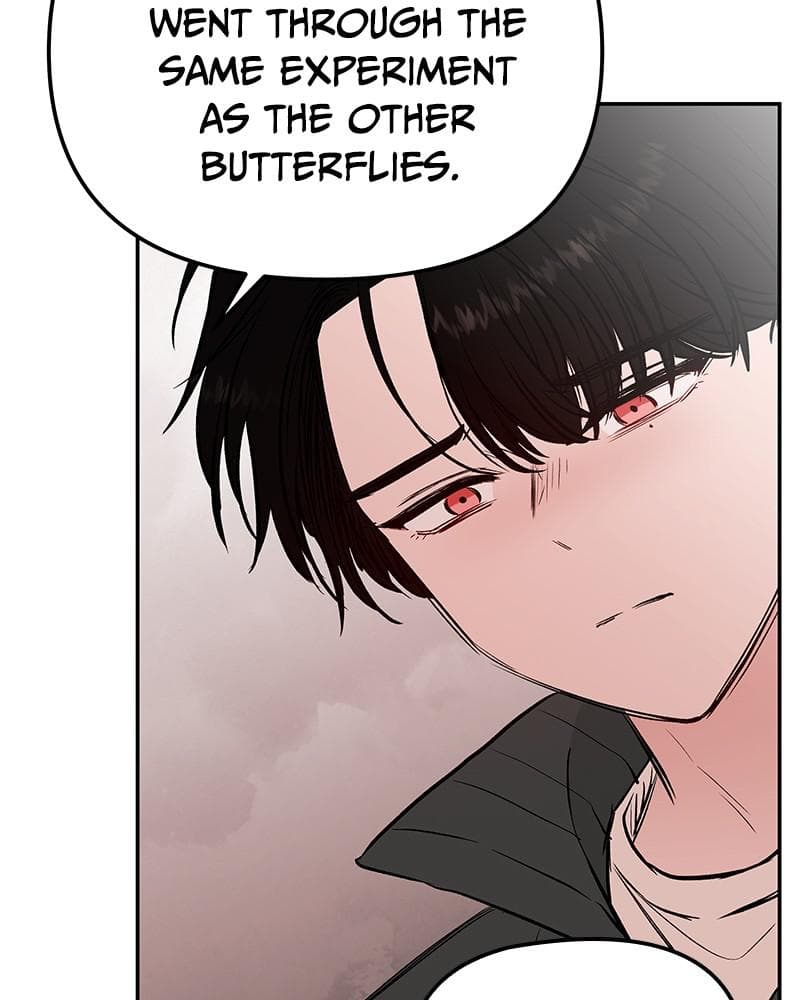 Page https://readmanhwaverse.com/images/blood-and-butterflies/chapter-34/060.png