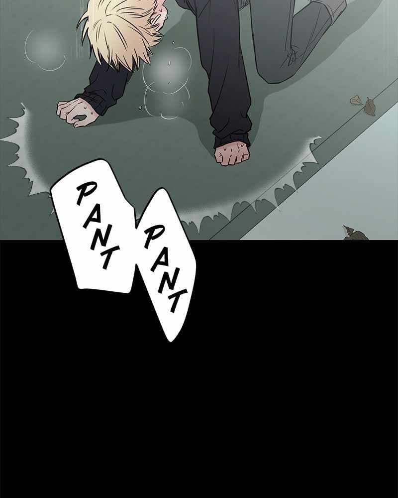 Page https://readmanhwaverse.com/images/blood-and-butterflies/chapter-56/087.jpg