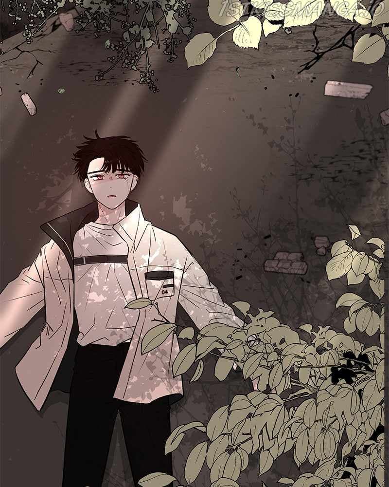 Page https://readmanhwaverse.com/images/blood-and-butterflies/chapter-65/176.jpg