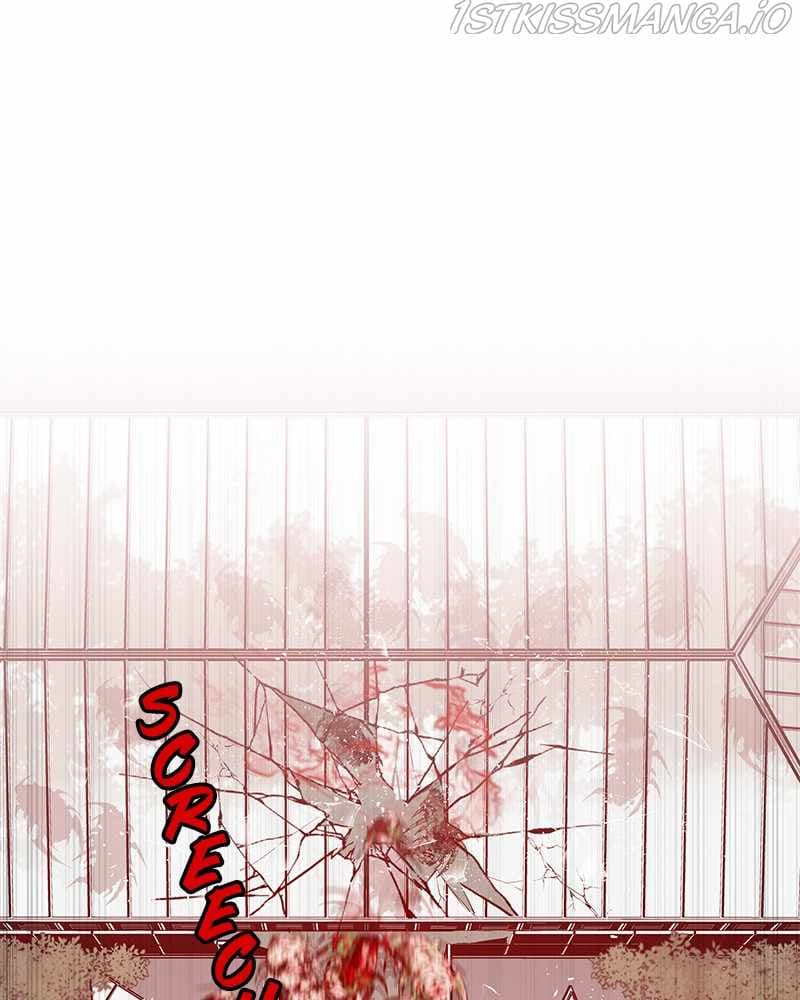 Page https://readmanhwaverse.com/images/blood-and-butterflies/chapter-69/056.jpg