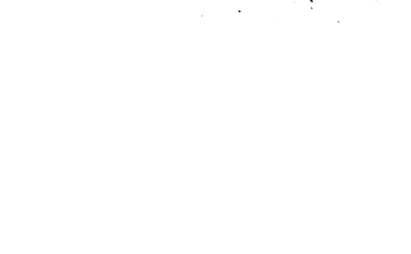 Page https://readmanhwaverse.com/images/blood-and-butterflies/chapter-75/044.png