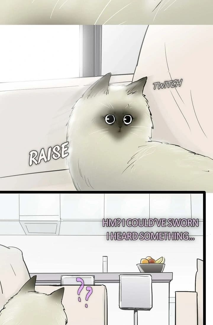 Page https://readmanhwaverse.com/images/clean-with-passion-for-now-official/chapter-43/ch_43_9.webp