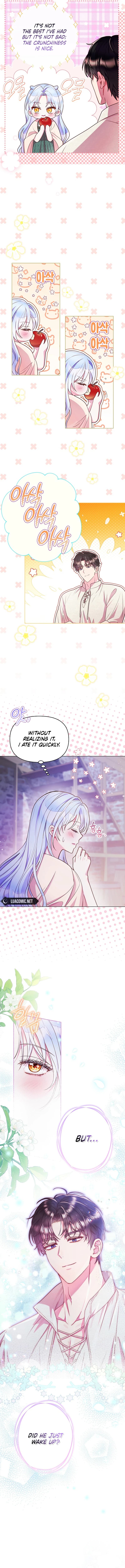 Page https://readmanhwaverse.com/images/divorce-plan/chapter-30/6.webp