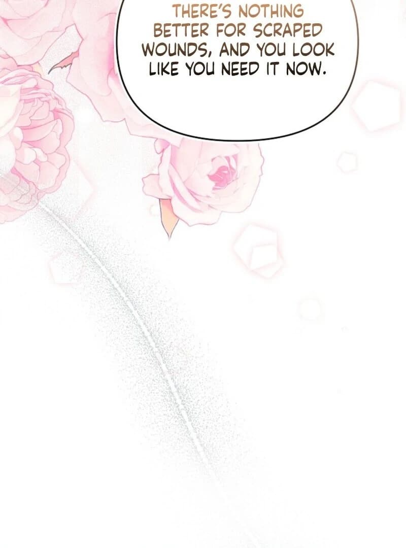 Page https://readmanhwaverse.com/images/divorce-plan/chapter-64/ch_64_131.webp