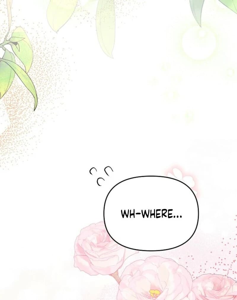Page https://readmanhwaverse.com/images/divorce-plan/chapter-65/ch_65_75.webp