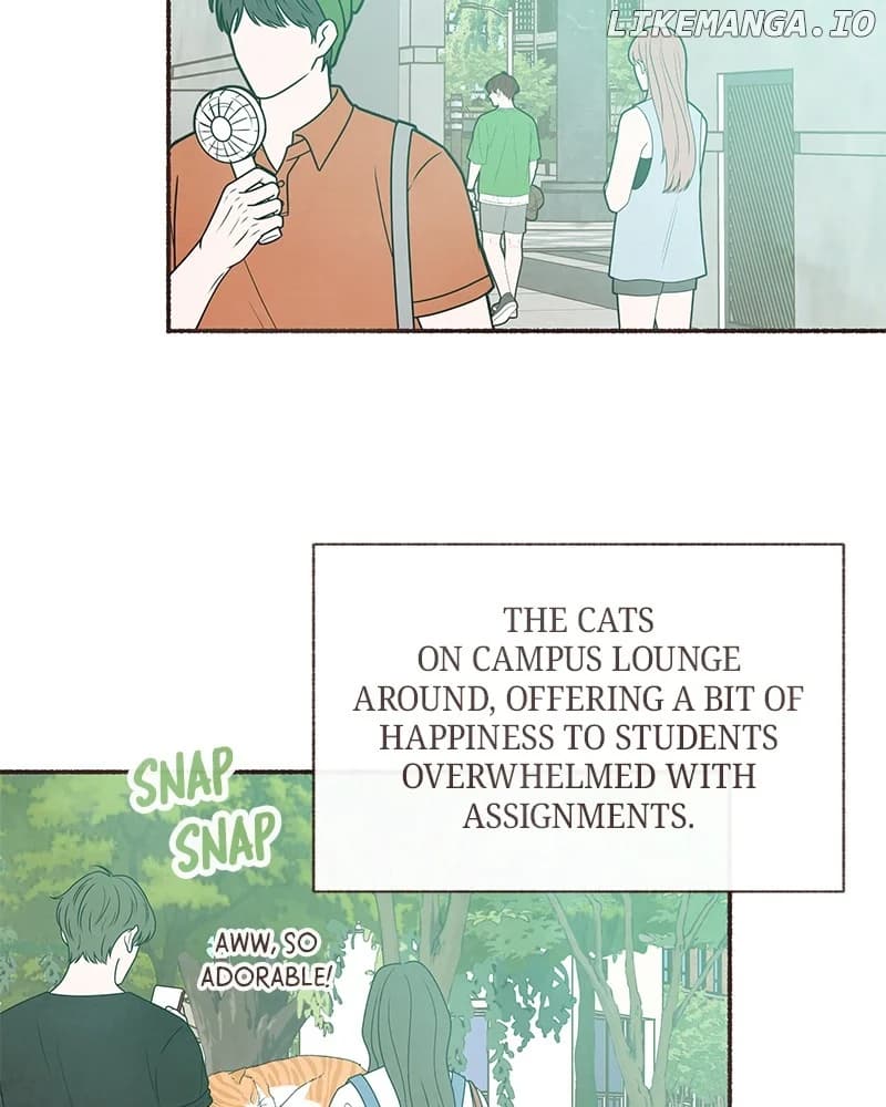 Page https://readmanhwaverse.com/images/emotional-transference/chapter-25/ch_25_43.webp