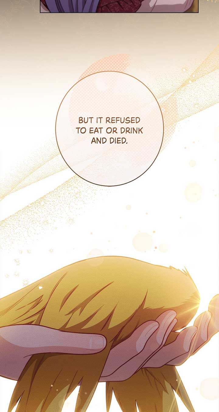 Page https://readmanhwaverse.com/images/exclusive-maid-of-the-evil-empress/chapter-19/07.jpg