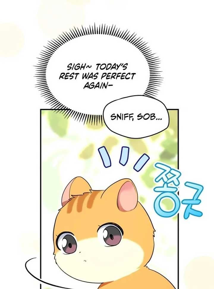 Page https://readmanhwaverse.com/images/i-became-a-squirrel-saving-the-villain/chapter-12/009.jpg
