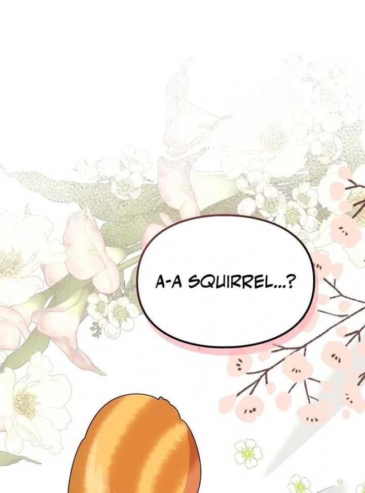 Page https://readmanhwaverse.com/images/i-became-a-squirrel-saving-the-villain/chapter-12/021.jpg