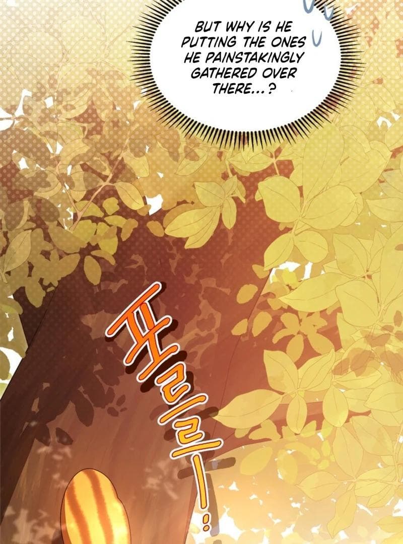 Page https://readmanhwaverse.com/images/i-became-a-squirrel-saving-the-villain/chapter-15/009.jpg