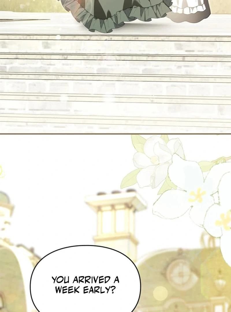Page https://readmanhwaverse.com/images/i-became-a-squirrel-saving-the-villain/chapter-15/081.webp