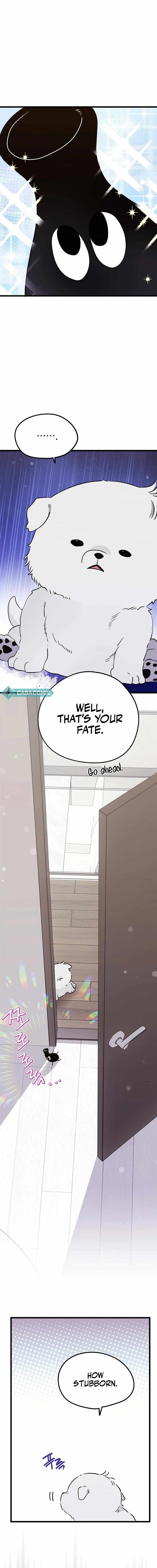 Page https://readmanhwaverse.com/images/i-debuted-as-an-exorcist-not-an-idol/chapter-22/ch_22_15.jpg