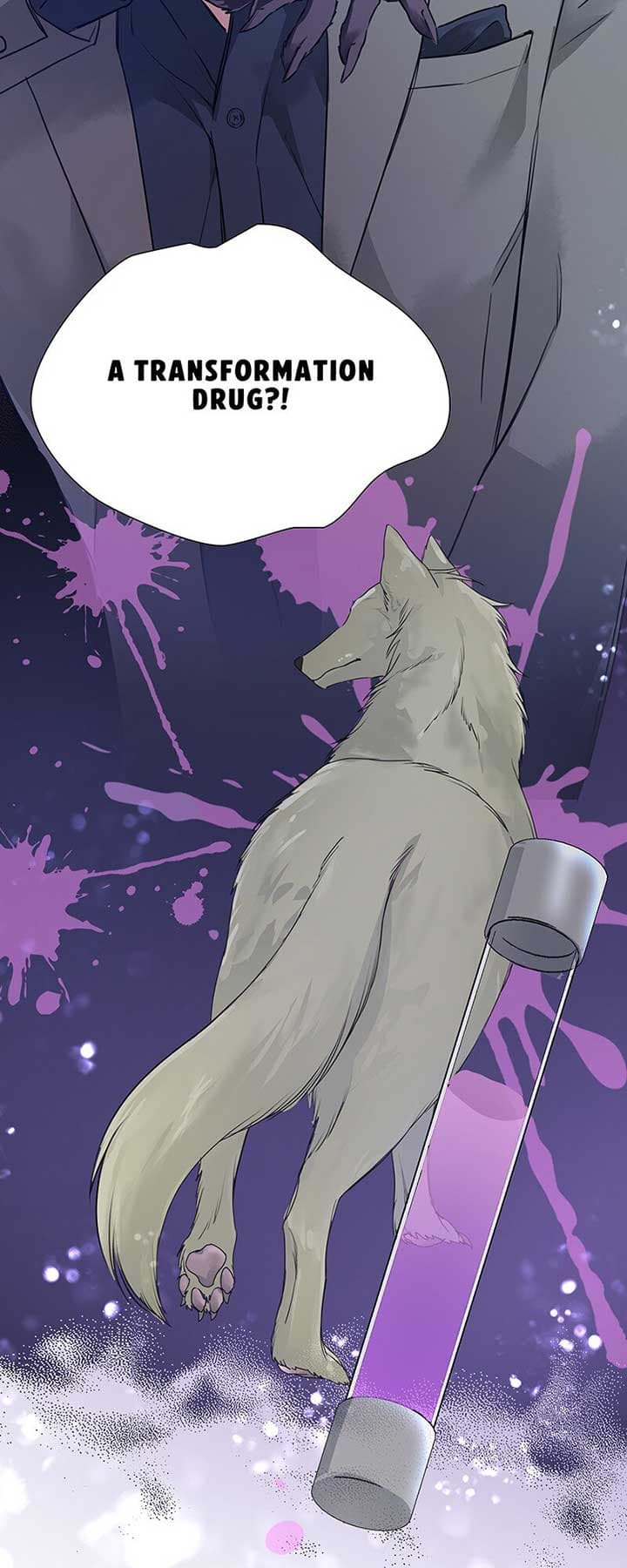 Page https://readmanhwaverse.com/images/im-not-afraid-of-wolves-official/chapter-15/19.jpg