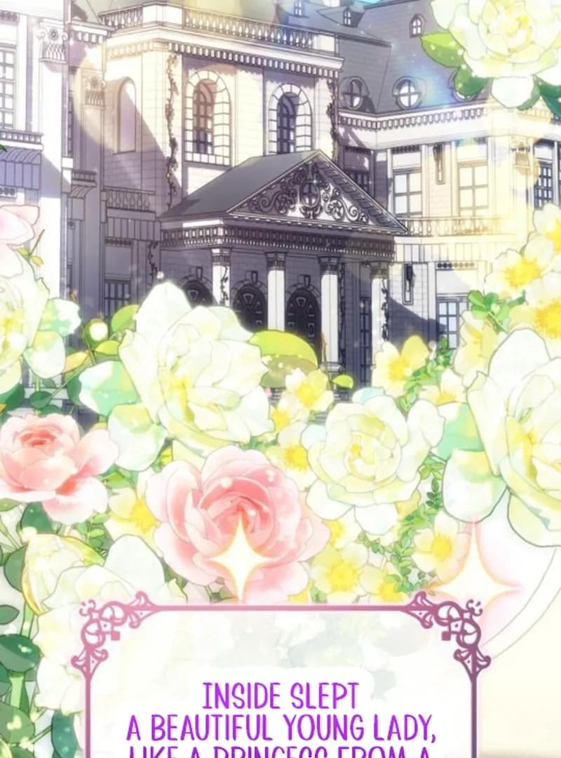 Page https://readmanhwaverse.com/images/in-the-name-of-special-contract-marriage/chapter-1/ch_1_3.webp