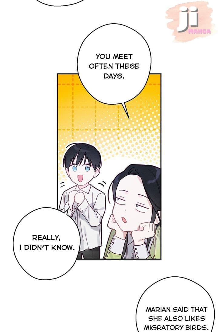 Page https://readmanhwaverse.com/images/let-s-hide-my-younger-brother-first/chapter-17/55.jpg
