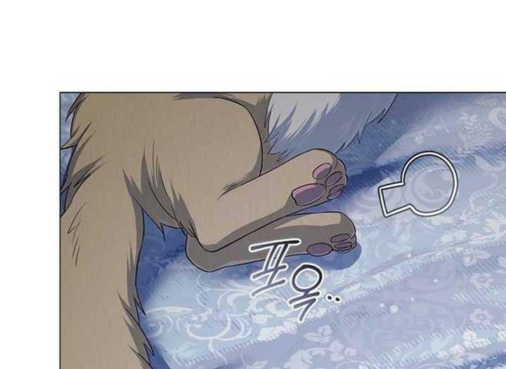 Page https://readmanhwaverse.com/images/magic-lord/chapter-13/ch_13_45.jpg