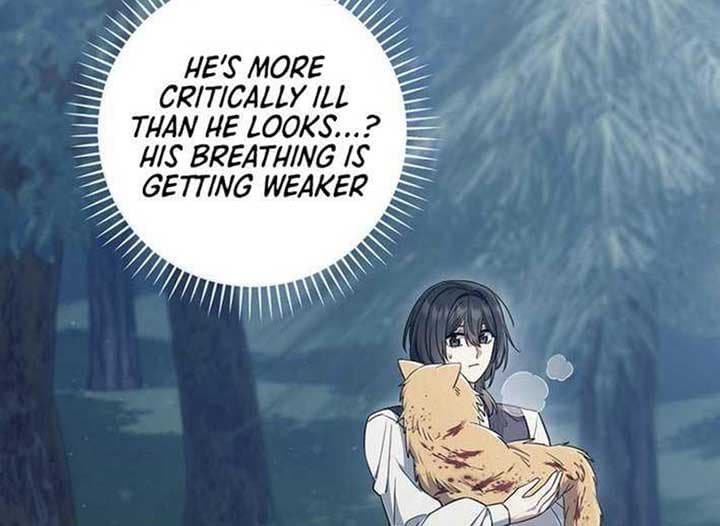 Page https://readmanhwaverse.com/images/magic-lord/chapter-13/ch_13_5.jpg