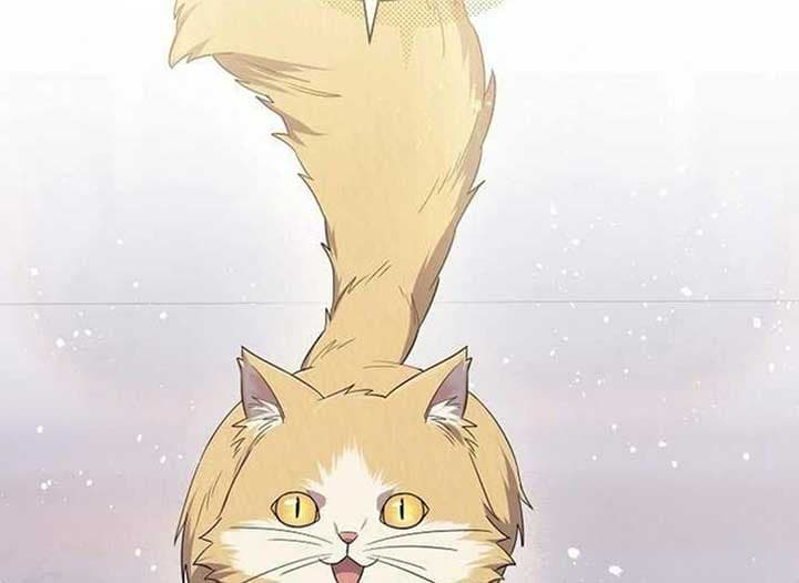 Page https://readmanhwaverse.com/images/magic-lord/chapter-13/ch_13_92.jpg