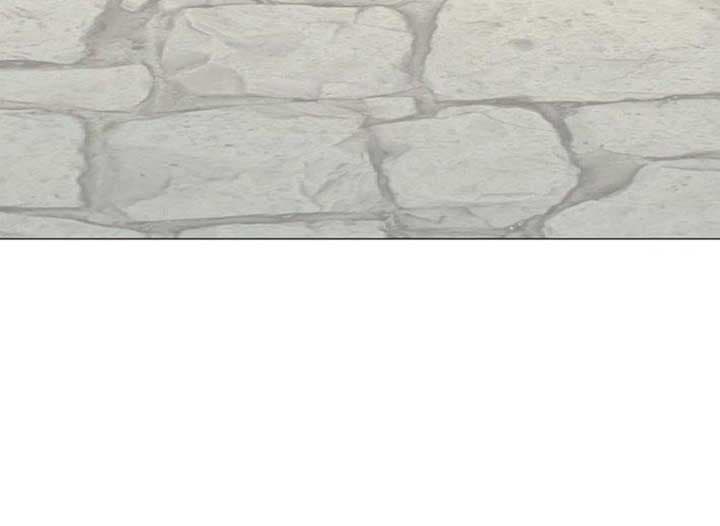 Page https://readmanhwaverse.com/images/magic-lord/chapter-16/ch_16_253.jpg