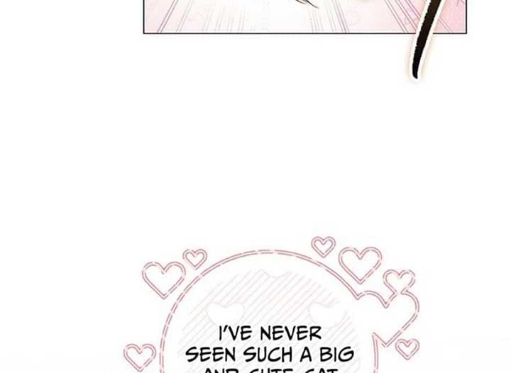 Page https://readmanhwaverse.com/images/magic-lord/chapter-20/ch_20_73.jpg