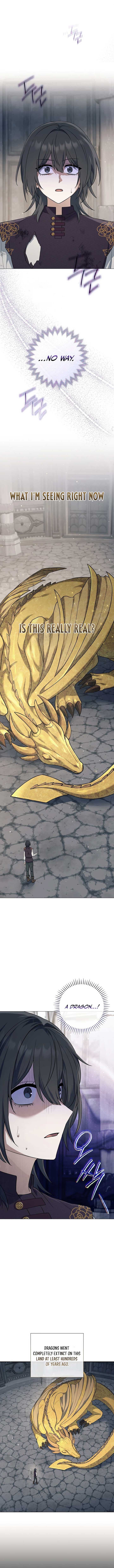 Page https://readmanhwaverse.com/images/magic-lord/chapter-4/ch_4_12.jpg