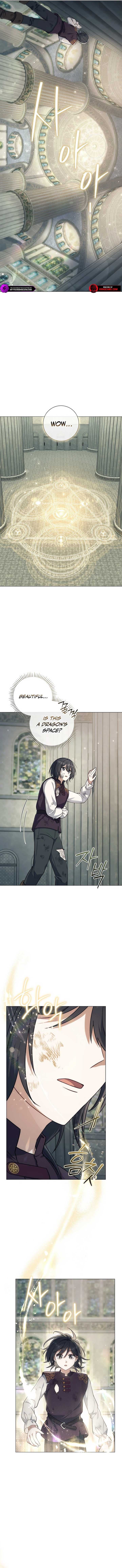 Page https://readmanhwaverse.com/images/magic-lord/chapter-4/ch_4_9.jpg