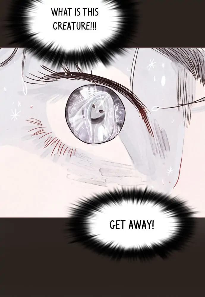 Page https://readmanhwaverse.com/images/mystical/chapter-0/71.webp
