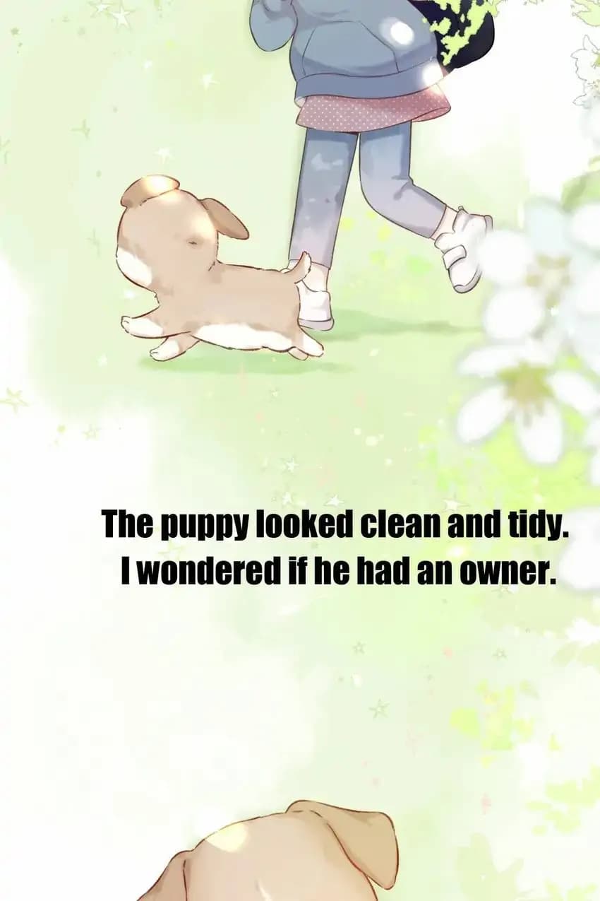 Page https://readmanhwaverse.com/images/protect-my-star/chapter-124/03.webp