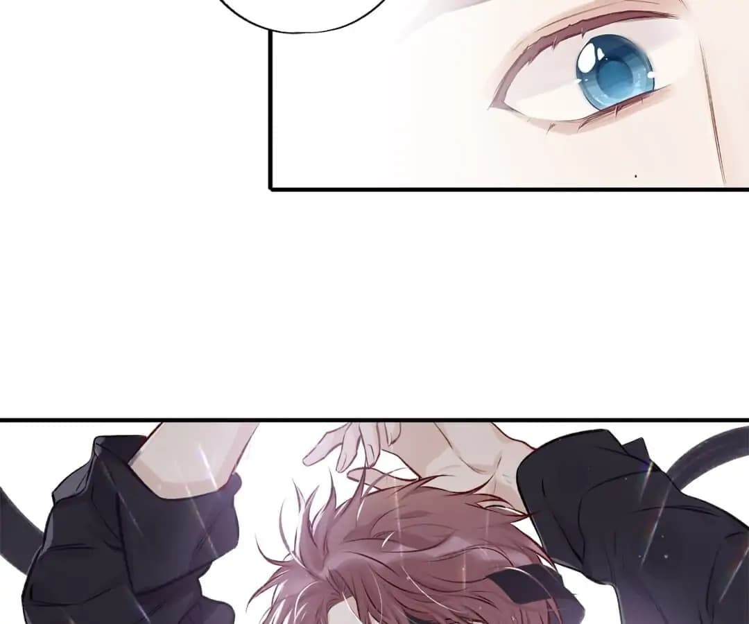 Page https://readmanhwaverse.com/images/protect-my-star/chapter-3/035.webp