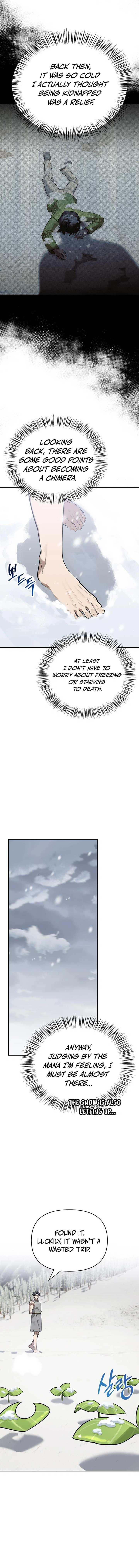 Page https://readmanhwaverse.com/images/s-class-hunter-heals-with-monsters/chapter-3/ch_3_9.jpg
