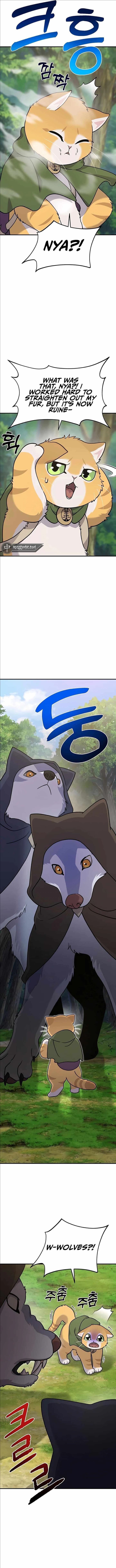 Page https://readmanhwaverse.com/images/solo-farming-in-the-tower/chapter-36/05.webp