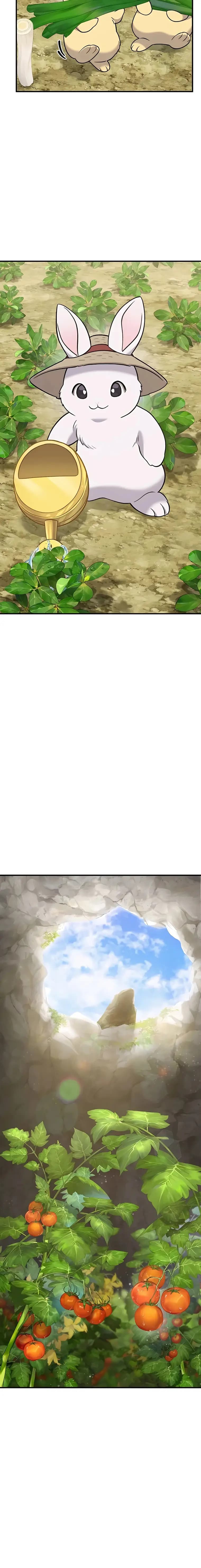 Page https://readmanhwaverse.com/images/solo-farming-in-the-tower/chapter-52/02.webp