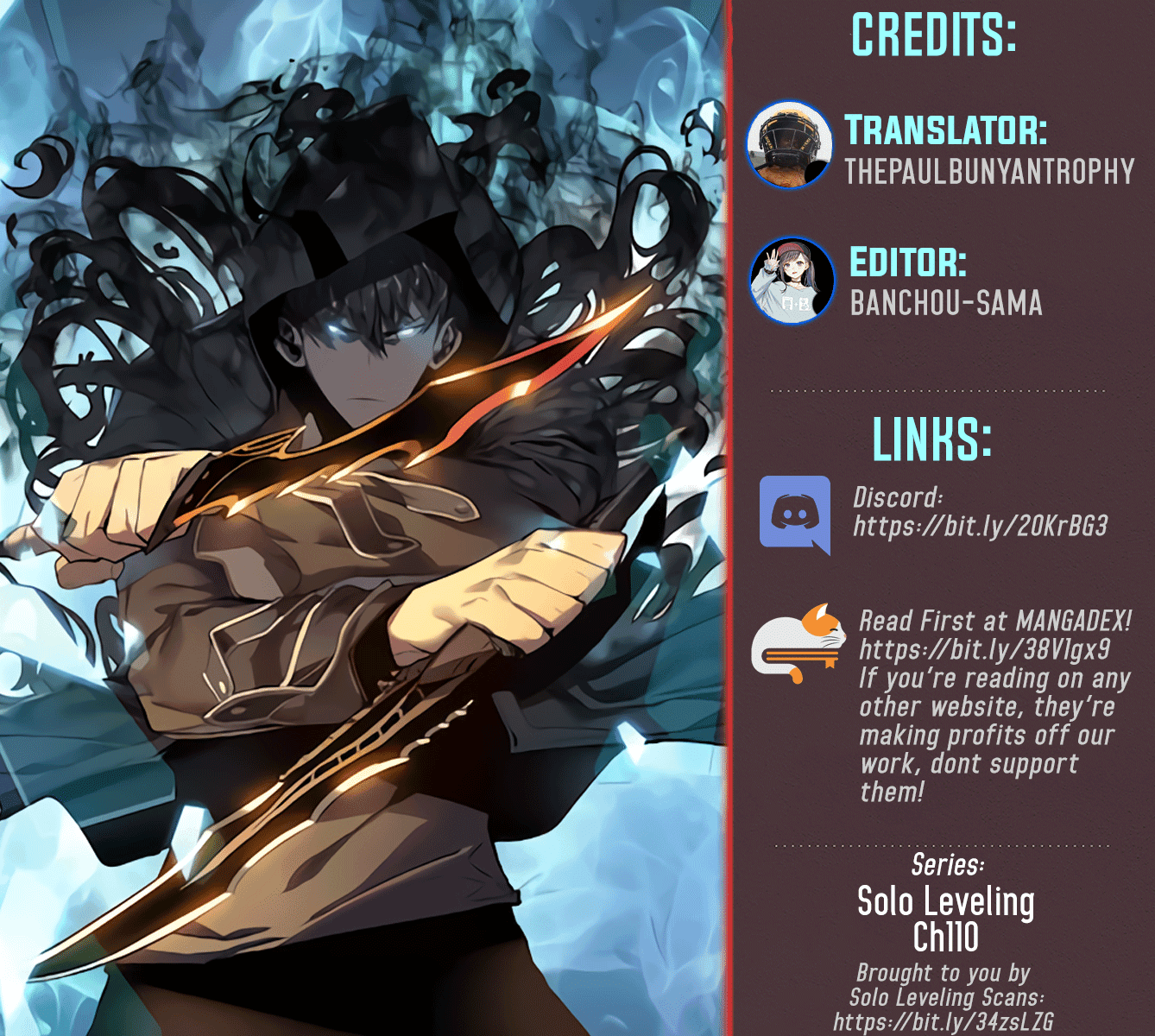 Page https://readmanhwaverse.com/images/solo-leveling/chapter-110/1.jpg