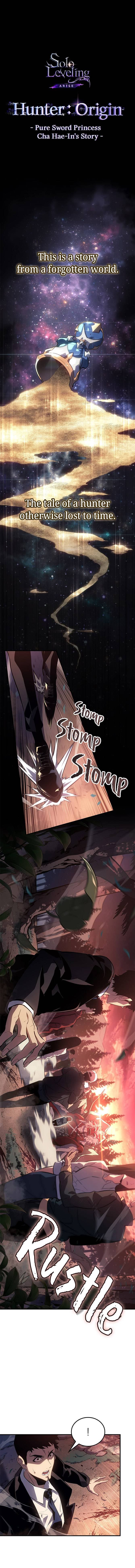 Page https://readmanhwaverse.com/images/solo-leveling-arise/chapter-17/ch_17_1.jpg