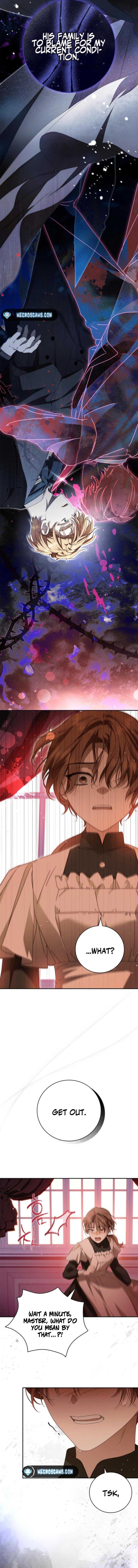 Page https://readmanhwaverse.com/images/the-counts-secret-maid/chapter-14/11.jpg