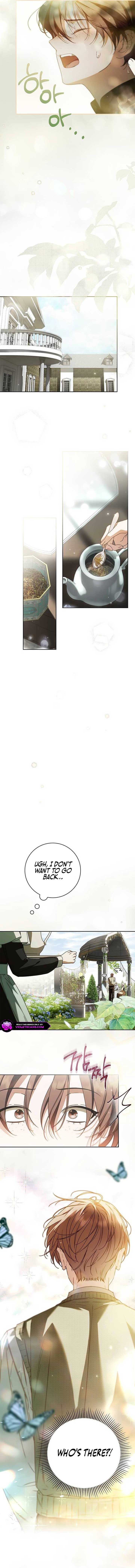 Page https://readmanhwaverse.com/images/the-counts-secret-maid/chapter-24/ch_24_5.jpg