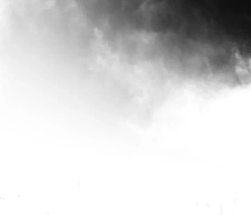 Page https://readmanhwaverse.com/images/the-flower-who-bears-the-sword/chapter-21/ch_21_29.webp