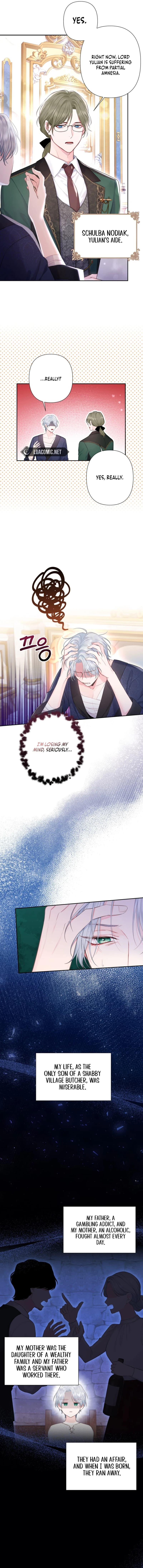 Page https://readmanhwaverse.com/images/the-strongest-brother-lost-his-memory/chapter-2/9.jpg