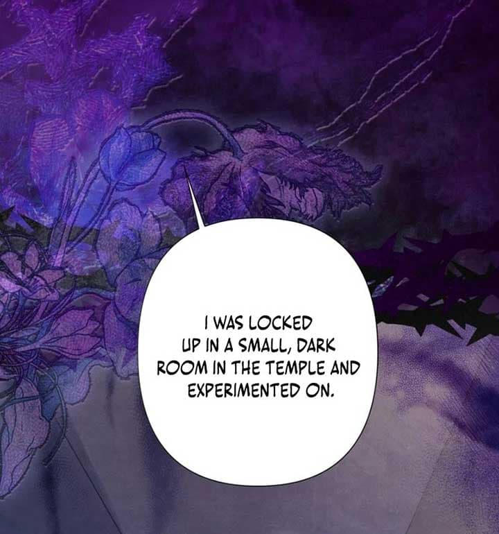 Page https://readmanhwaverse.com/images/the-strongest-brother-lost-his-memory/chapter-27/ch_27_58.jpg